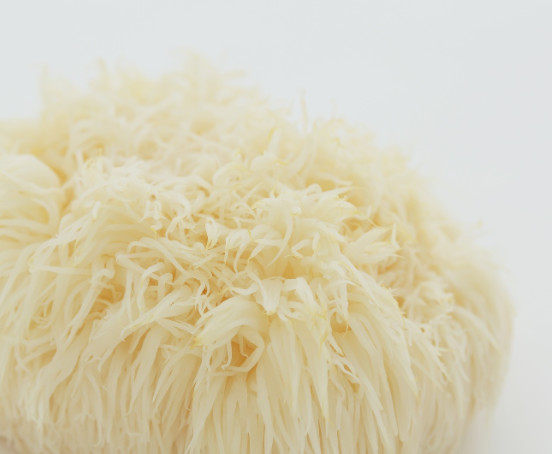 Soplówka jeżowata.